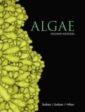 Algae  cover art