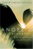 Angelic Encounters Engaging Help from Heaven 2007 9781599790657 Front Cover