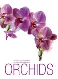 Orchids 2013 9788854407657 Front Cover