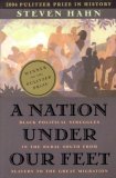 Nation under Our Feet Black Political Struggles in the Rural South from Slavery to the Great Migration