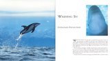 Whales 2005 9781552856659 Front Cover
