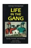 Life in the Gang Family, Friends, and Violence cover art
