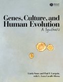 Genes, Culture, and Human Evolution A Synthesis cover art