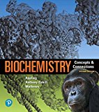 Biochemistry Concepts and Connections Plus MasteringChemistry with Pearson EText -- Access Card Package 2nd 9780134804668 Front Cover