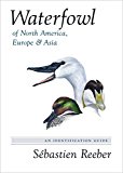 Waterfowl of North America, Europe, and Asia An Identification Guide  9780691162669 Front Cover