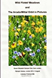 Wild Flower Meadows and the ArcelorMittal Orbit in Pictures Olympic Legacy 2013 9781493760671 Front Cover