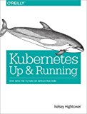 Kubernetes: up and Running Dive into the Future of Infrastructure  9781491935675 Front Cover