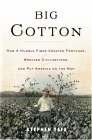 Big Cotton How a Humble Fiber Created Fortunes, Wrecked Civilizations, and Put America on the Map 2004 9780670033676 Front Cover