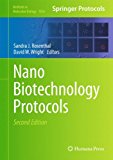 NanoBiotechnology Protocols 2nd 2013 9781627034678 Front Cover