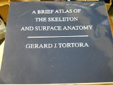 A Brief Atlas of the Skeleton and Surface Anatomy to Accompany Principles of Anatomy & Physiology:  9781118700679 Front Cover