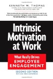 Intrinsic Motivation at Work Building Energy and Commitment cover art