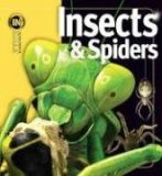 Insects and Spiders 2008 9781416938682 Front Cover