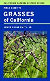 Field Guide to Grasses of California  9780520275683 Front Cover