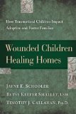 Wounded Children, Healing Homes How Traumatized Children Impact Adoptive and Foster Families  9781615215683 Front Cover