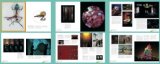 Art + Science Now How Scientific Research and Technological Innovation Are Becoming Key to 21st-Century Aesthetics  9780500238684 Front Cover