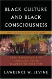 Black Culture and Black Consciousness Afro-American Folk Thought from Slavery to Freedom cover art