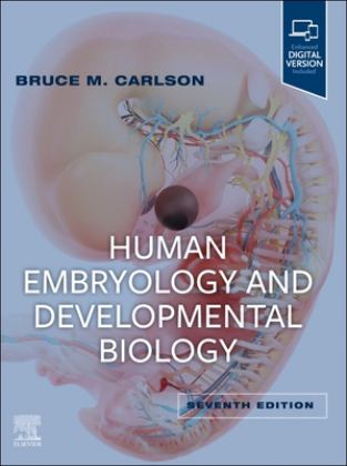 Human Embryology and Developmental Biology 7th 9780323881685 Front Cover