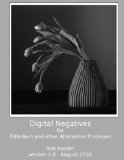 Digital Negatives for palladium and other alternative Processes  cover art