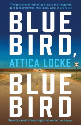 Bluebird, Bluebird  9781781257685 Front Cover