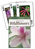 Wildflowers of the Southeast Playing Cards 2012 9781591933687 Front Cover