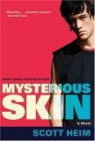 Mysterious Skin  cover art
