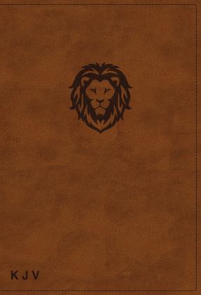 KJV Thinline Bible Youth Red Letter Edition [Brown]  9780785225690 Front Cover