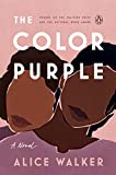 Color Purple A Novel  9780143135692 Front Cover