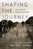 Shaping the Journey of Emerging Adults Life-Giving Rhythms for Spiritual Transformation cover art