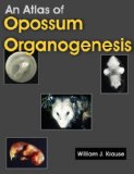 An Atlas of Opossum Organogenesis: Opossum Development 2008 9781581129694 Front Cover