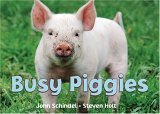 Busy Piggies 2006 9781582461694 Front Cover