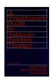 Practitioner's Guide to Rational Emotive Therapy 2nd 9780195071696 Front Cover