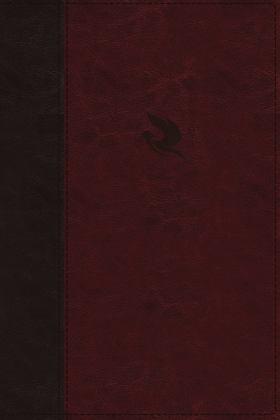NKJV Spirit-Filled Life Bible Indexed Red Letter Edition [Burgundy] 3rd 9780529100696 Front Cover
