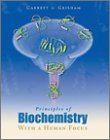 Principles of Biochemistry with a Human Focus 2001 9780030973697 Front Cover