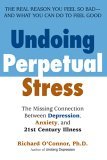 Undoing Perpetual Stress The Missing Connection Between Depression, Anxiety and 21stCentury Illness 2006 9780425207697 Front Cover