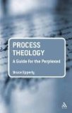 Process Theology: a Guide for the Perplexed 