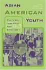 Asian American Youth Culture, Identity and Ethnicity cover art