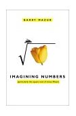 Imagining Numbers Particularly the Square Root of Minus Fifteen  9780374174699 Front Cover