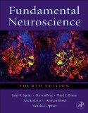 Fundamental Neuroscience 