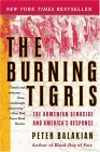Burning Tigris The Armenian Genocide and America's Response cover art