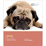 Pug 2013 9781906305703 Front Cover
