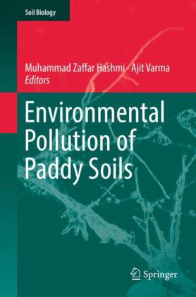 Environmental Pollution of Paddy Soils  9783319936703 Front Cover