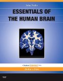 Essentials of the Human Brain With STUDENT CONSULT Online Access cover art