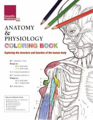 Anatomy &amp; Physiology Coloring Book  9781935612704 Front Cover
