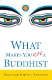 What Makes You Not a Buddhist  cover art