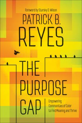 Purpose Gap Empowering Communities of Color to Find Meaning and Thrive  9780664266707 Front Cover