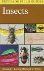 Peterson Field Guide to Insects America North of Mexico cover art