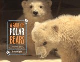 Pair of Polar Bears Twin Cubs Find a Home at the San Diego Zoo 2006 9780689858710 Front Cover