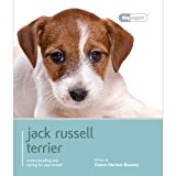 Jack Russell Terrior: Understanding and Caring for Your Breed 2013 9781906305710 Front Cover