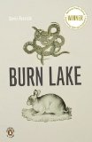 Burn Lake  cover art