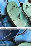 Allegories of the Anthropocene  9781478004714 Front Cover